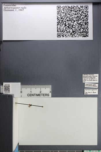 Media type: image;   Entomology 544858